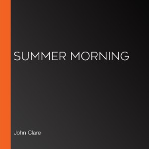 Summer Morning