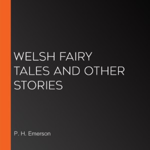 Welsh Fairy Tales and Other Stories