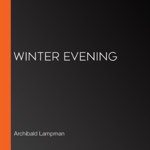 Winter Evening