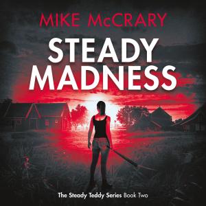 Steady Madness (Steady Teddy Book 2)