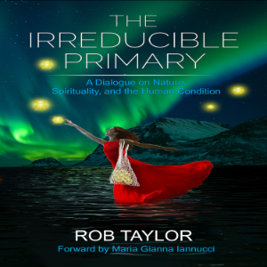 The Irreducible Primary