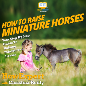 How To Raise Miniature Horses