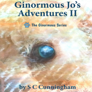 Ginormous Jo's Adventures II