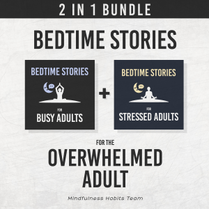 Bedtime Stories for the Overwhelmed Adult: 2 in 1 Bundle-logo