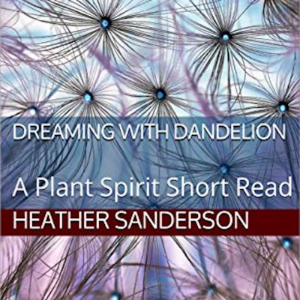 Dreaming with Dandelion