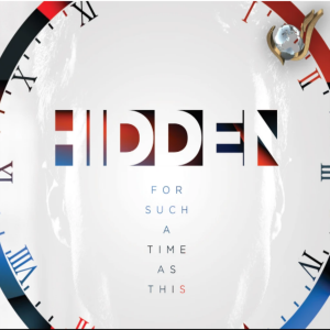 Hidden-logo