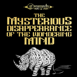 The Mysterious Disappearance of the Wondering Mind