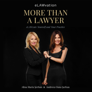 More Than A Lawyer