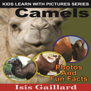 Camels-logo