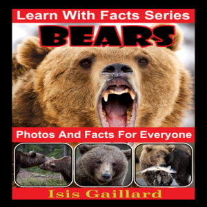 Bears Photos and Facts for Everyone-logo