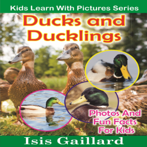 Ducks and Ducklings-logo