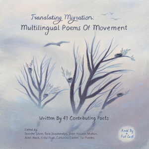 Translating Migration
