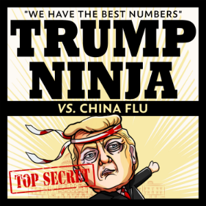 Trump Ninja Vs China Flu
