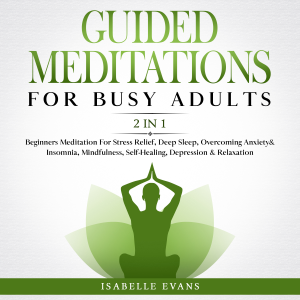 Guided Meditations For Busy Adults (2 in 1)-logo