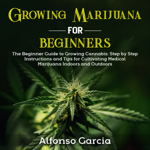 Growing Marijuana for Beginners