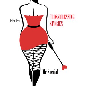 Crossdressing Stories-logo