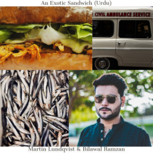 An Exotic Sandwich (Urdu)