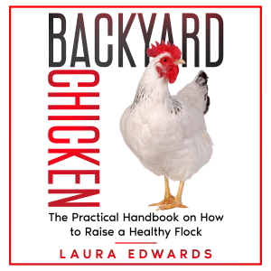 Backyard Chicken