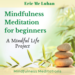 Mindful Meditation  for Beginners - Mindfulness Meditation