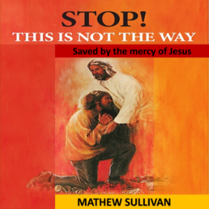 STOP! This is not the way