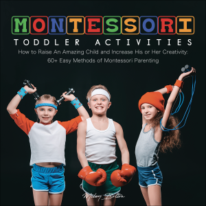 Montessori Toddler Activities