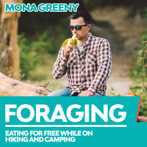 Foraging-logo