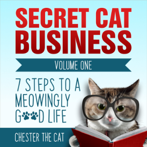 Secret Cat Business Volume One