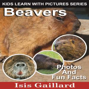Beavers-logo