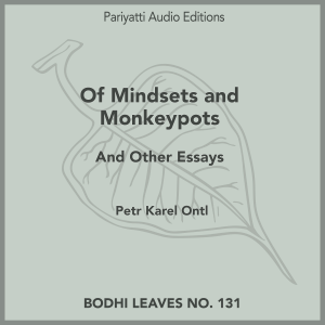 Audiobook Introduction