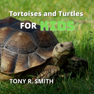 Tortoises and Turtles for Kids