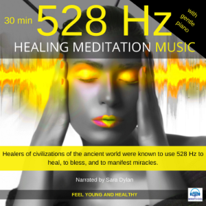 Healing Meditation Music 528 Hz with piano 30 minutes-logo