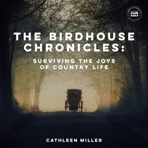 The Birdhouse Chronicles