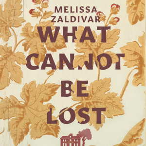 What Cannot Be Lost