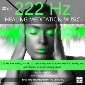 Healing Meditation Music 222 Hz 30 minutes-logo