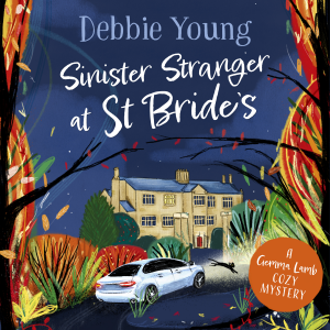 Sinister Stranger at St  Bride's
