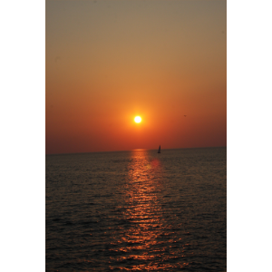 Meditation for Relaxation, Deep Sleep & Peace (With Soothing Nature Sounds)-logo