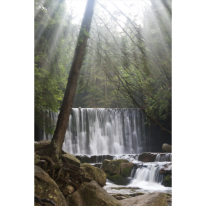 Living with Mindfulness, Purpose & Peace (With Soothing Nature Sounds)-logo