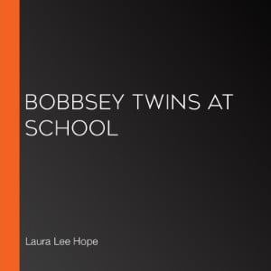 Bobbsey Twins at School-logo