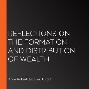 Reflections on the Formation and Distribution of Wealth