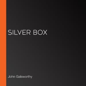 Silver Box