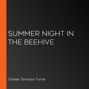Summer Night in the Beehive