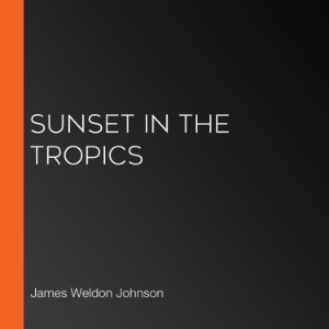 Sunset in the Tropics-logo