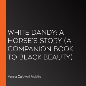 White Dandy: A Horse's Story (A companion book to Black Beauty)