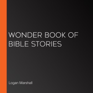Wonder Book of Bible Stories