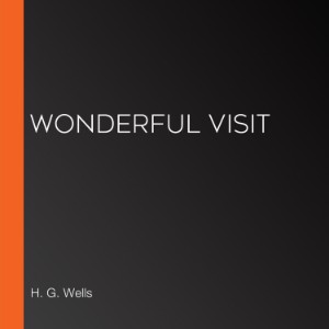 Wonderful Visit