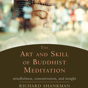 The Art and Skill of Buddhist Meditation