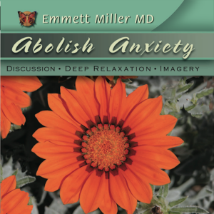 Abolish Anxiety