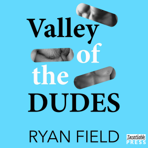 Valley of the Dudes-logo