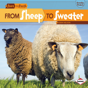 From Sheep to Sweater