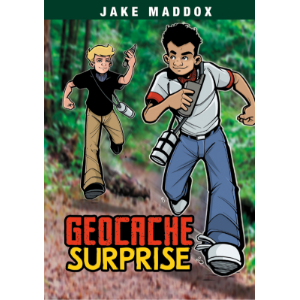 Geocache Surprise